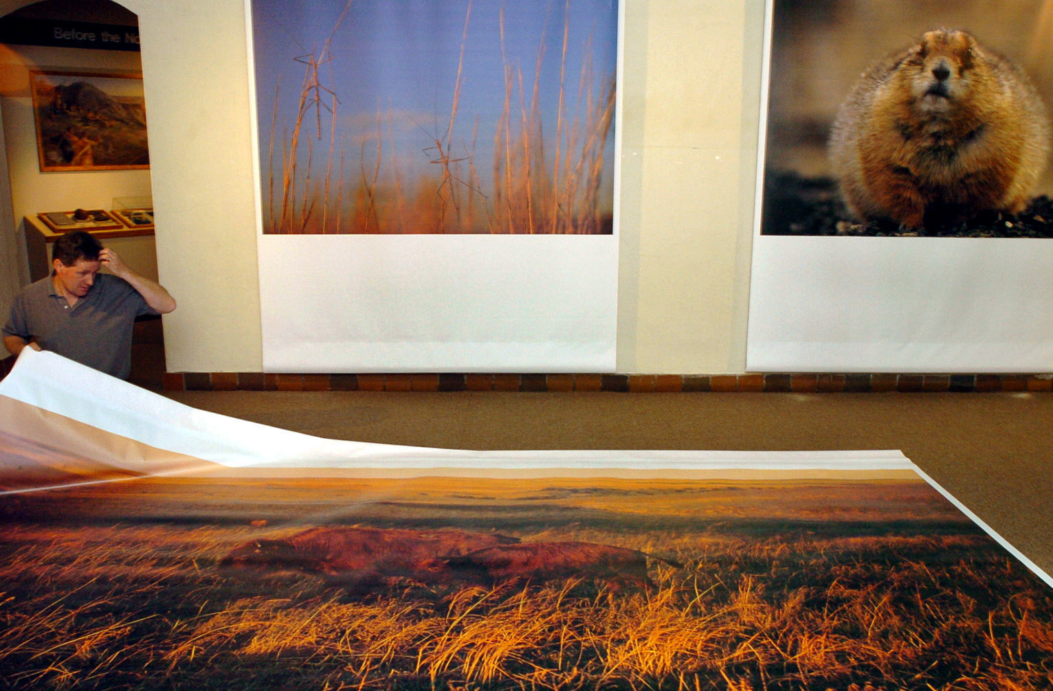 Photo banners